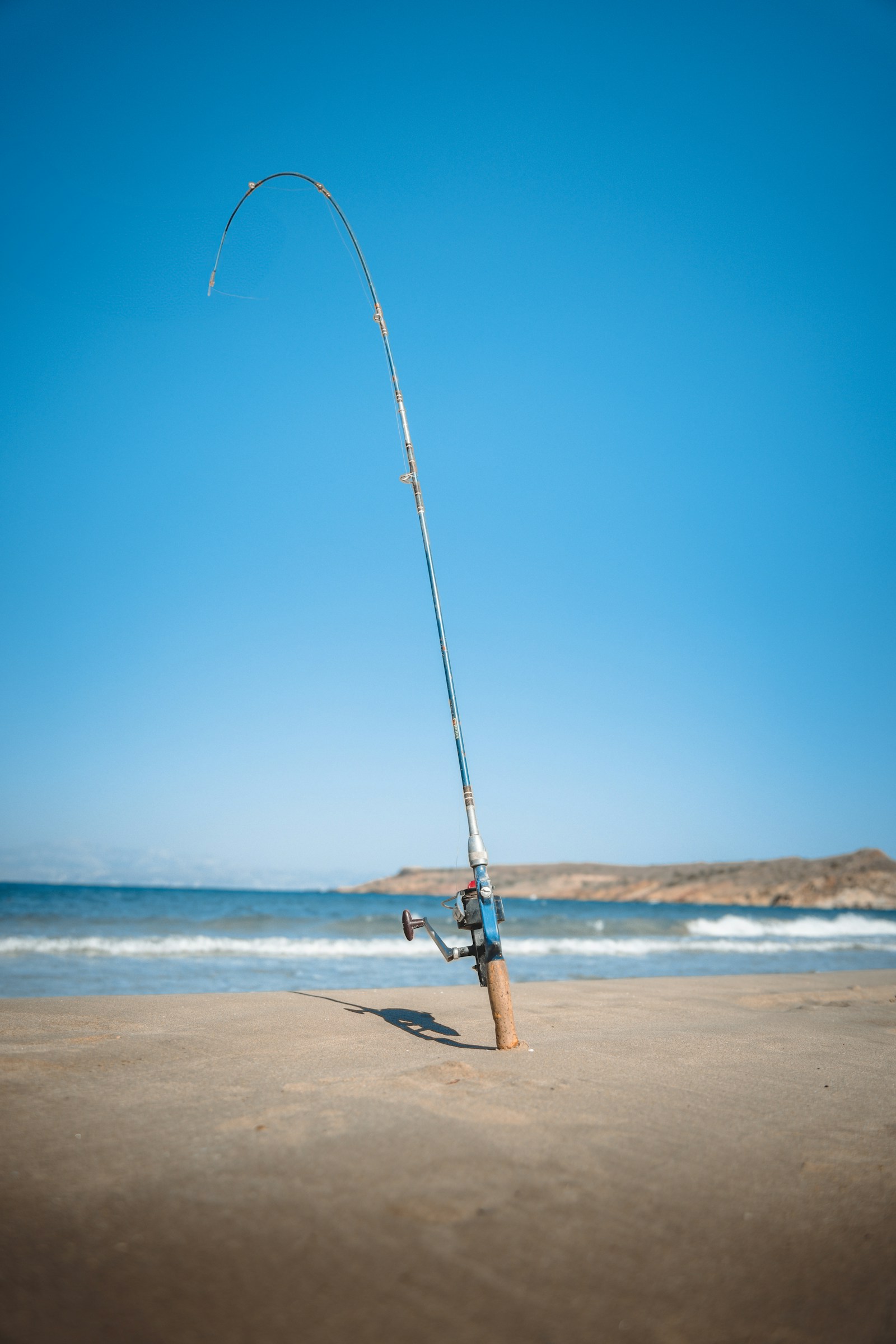 Best Surf Fishing Rods of 2026: 5 Picks for Stripers, Plugging, Perch, and Budget Shore Setups