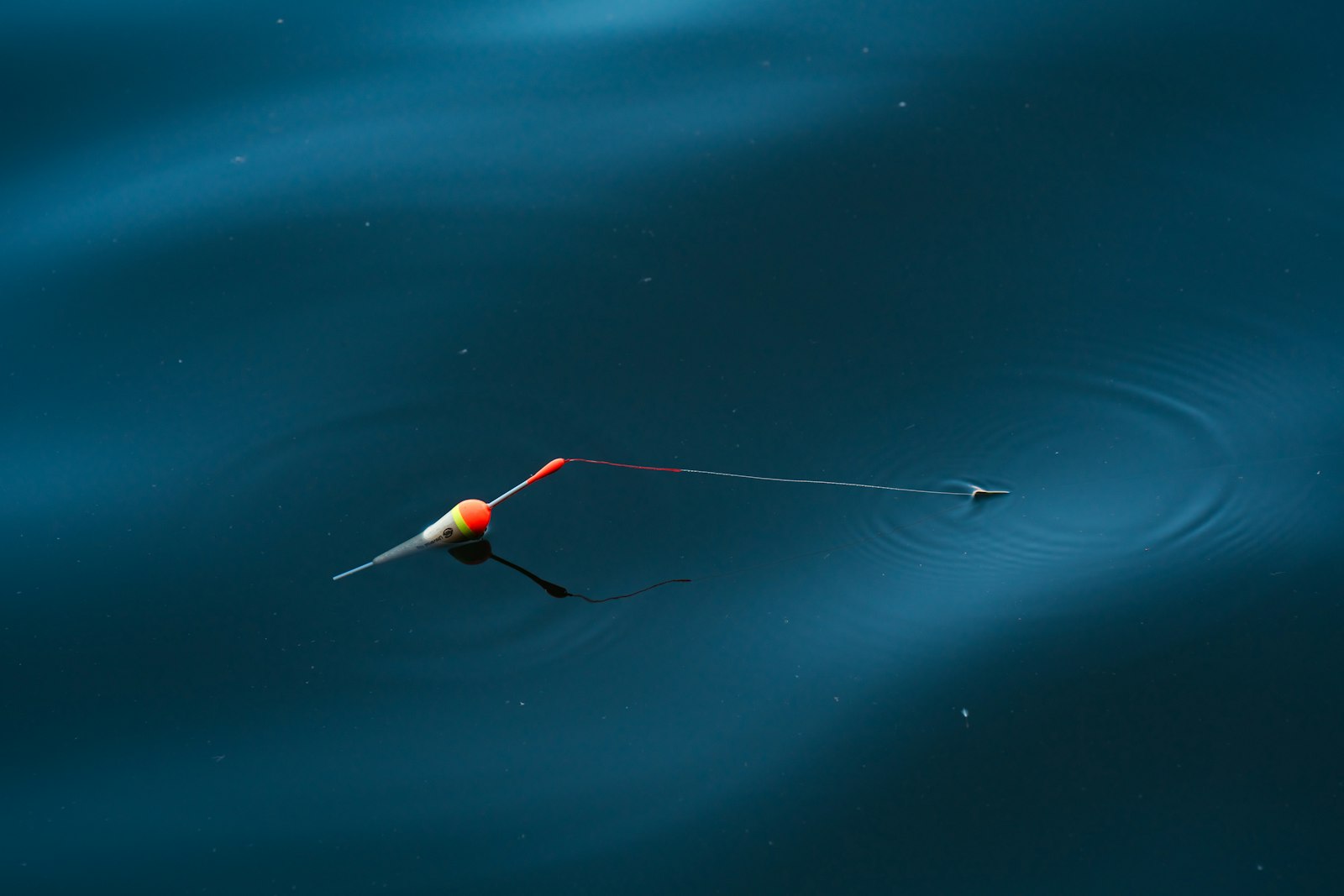 Bobber Fishing for Beginners from Shore: A Simple 2026 Guide to Float Setup, Depth, and Easy First Fish