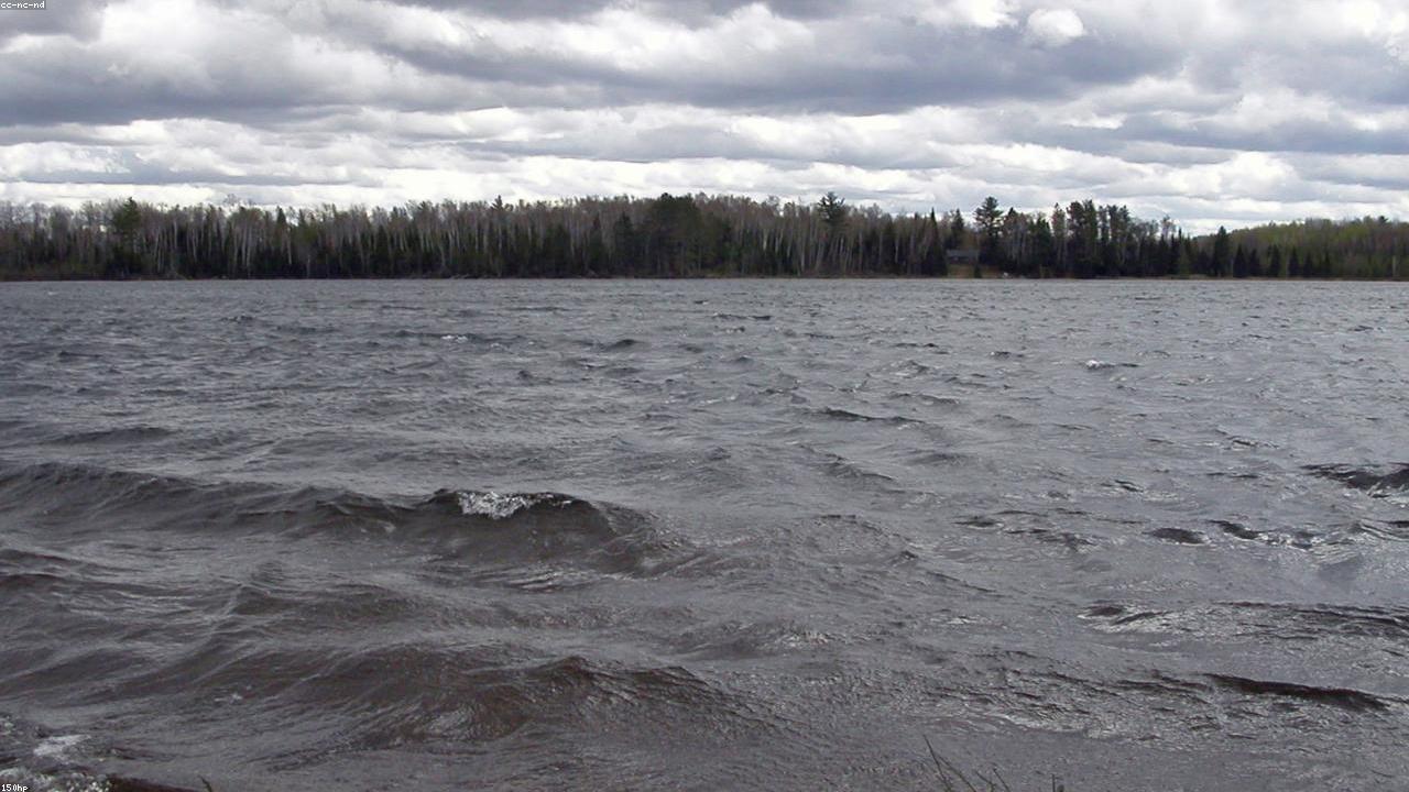 How to Catch White Bass: A Practical Seasonal Guide