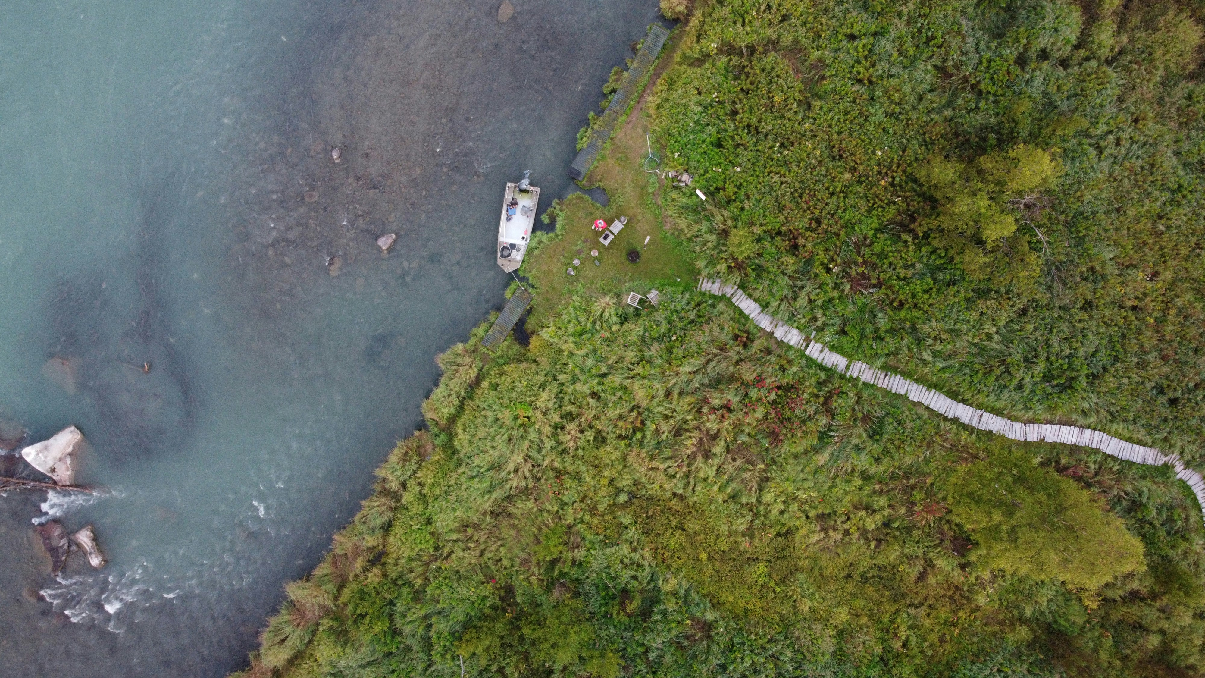 Kenai River Fishing Guide: Sockeye Seasons, Access, and How to Plan an Alaska Trip