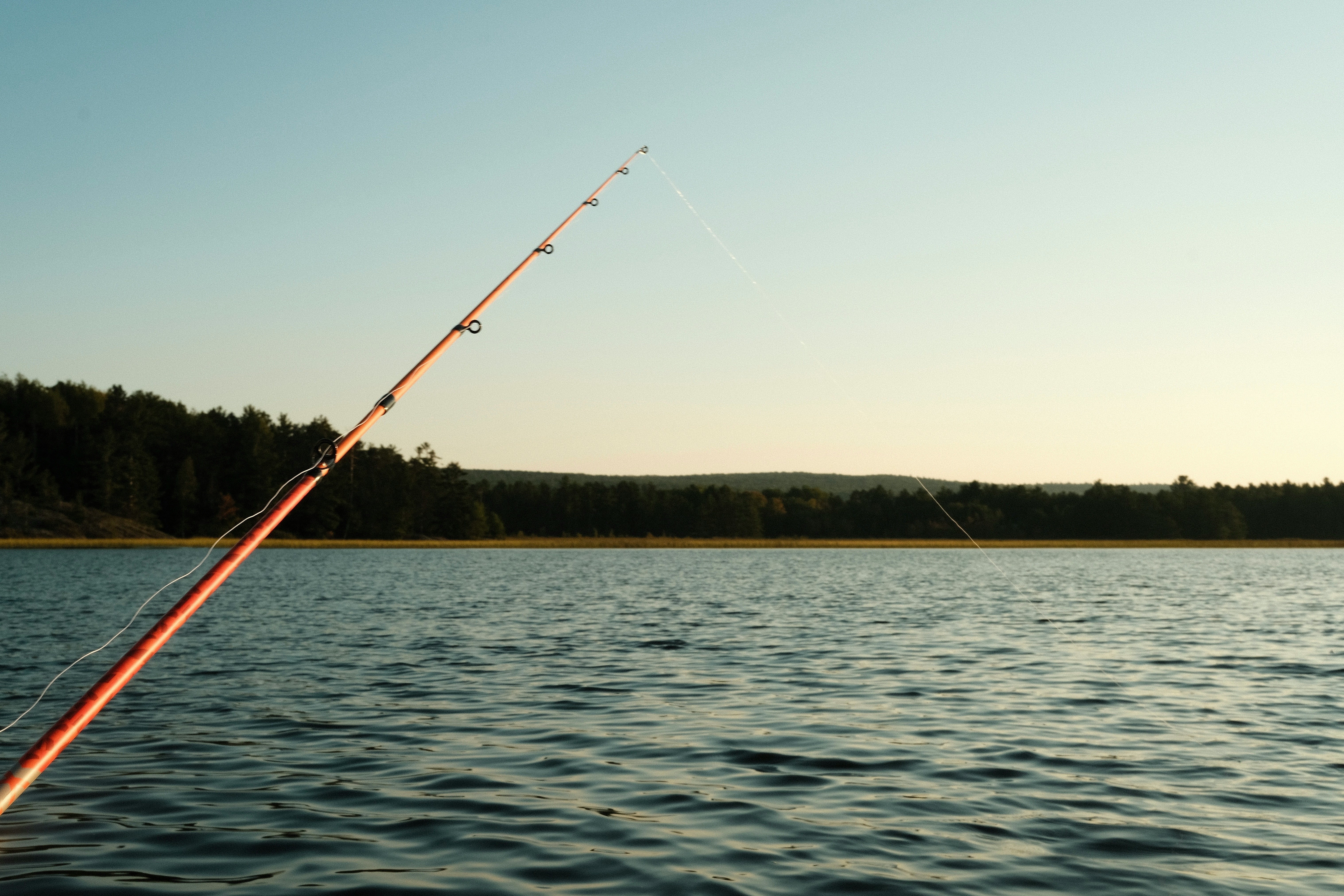 How to Fish a Swim Jig for Spring Bass: A Practical 2026 Guide to Cover, Retrieve Speed, and Clean Hookups
