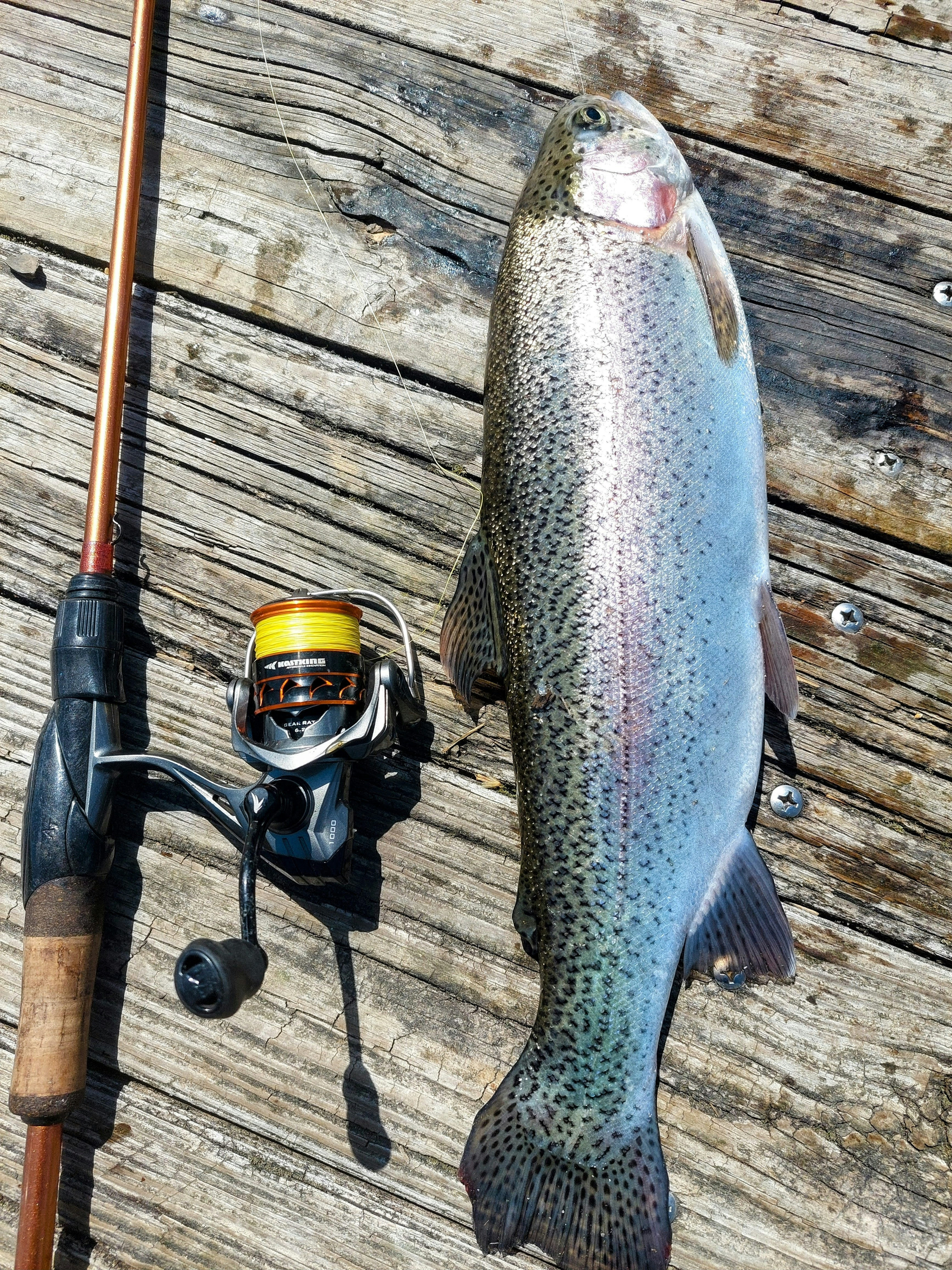 Ultralight Fishing Setup for Beginners 2026: Best Rod, Reel, Line, and Lures for Trout and Panfish from Shore