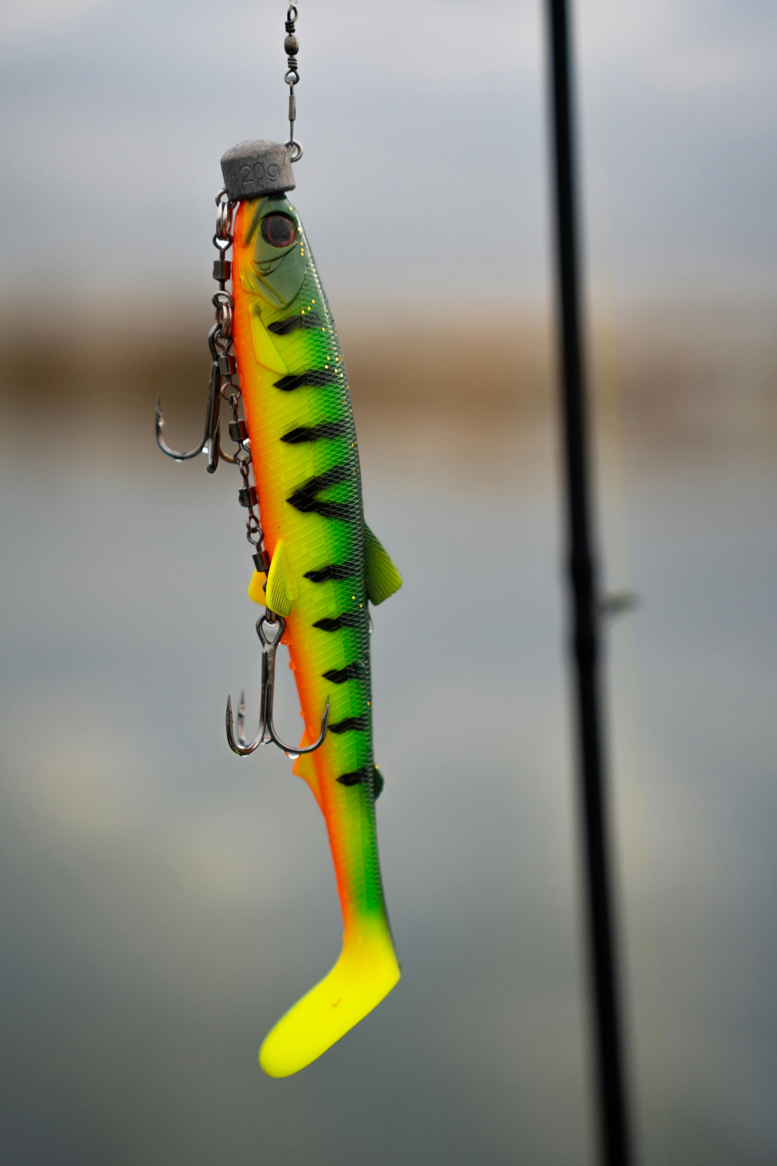 How to Walk the Dog Topwater Lures: A Practical Guide to Better Cadence, More Blowups, and Fewer Misses